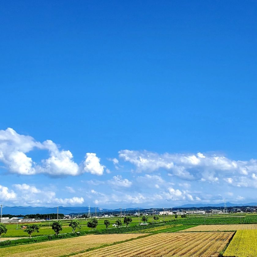 竜王の田園風景稲刈り中
