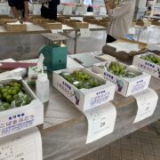 滋賀県果樹品評会【葡萄・梨・いちじく】