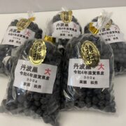 日本一早い収穫！黒大豆