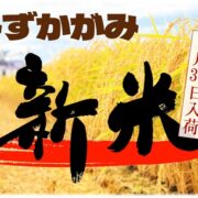 8月31日より新米「みずかがみ」販売開始