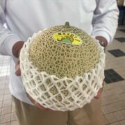 メロン受付開始！！